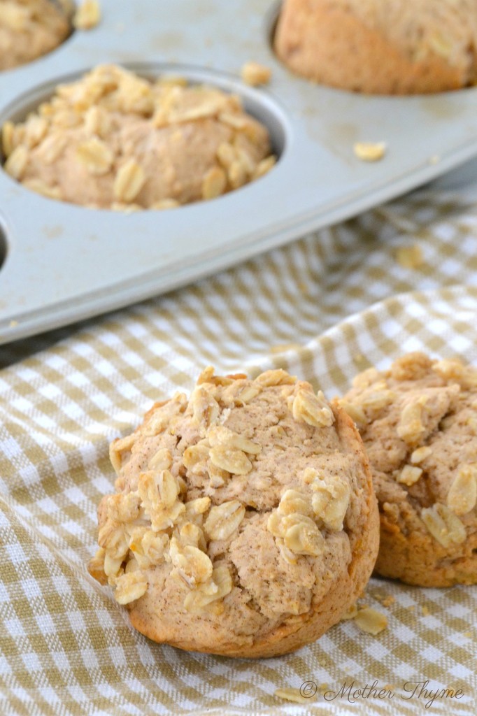 Maple and Brown Sugar Oatmeal Muffins (dairy free, egg free) 