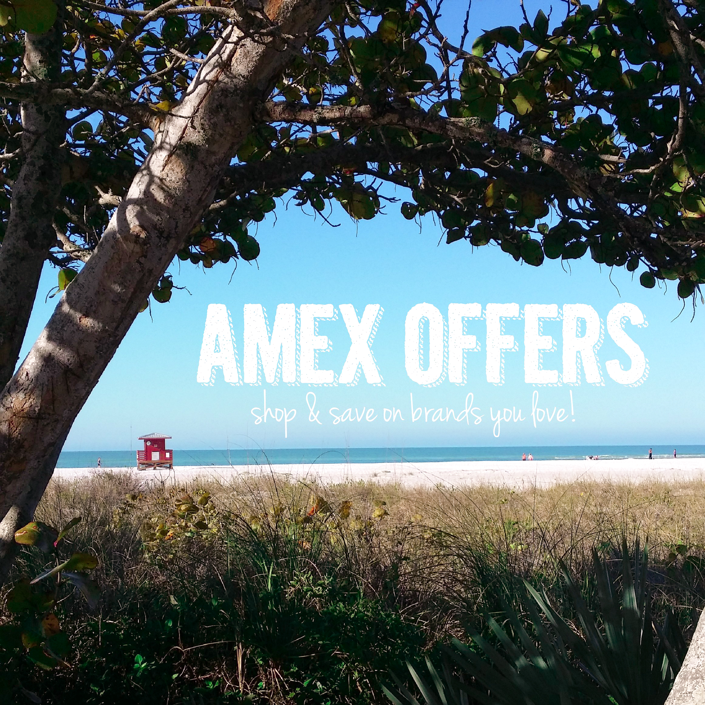 American Express Offers (+ $100 AMEX Gift Card Giveaway!)