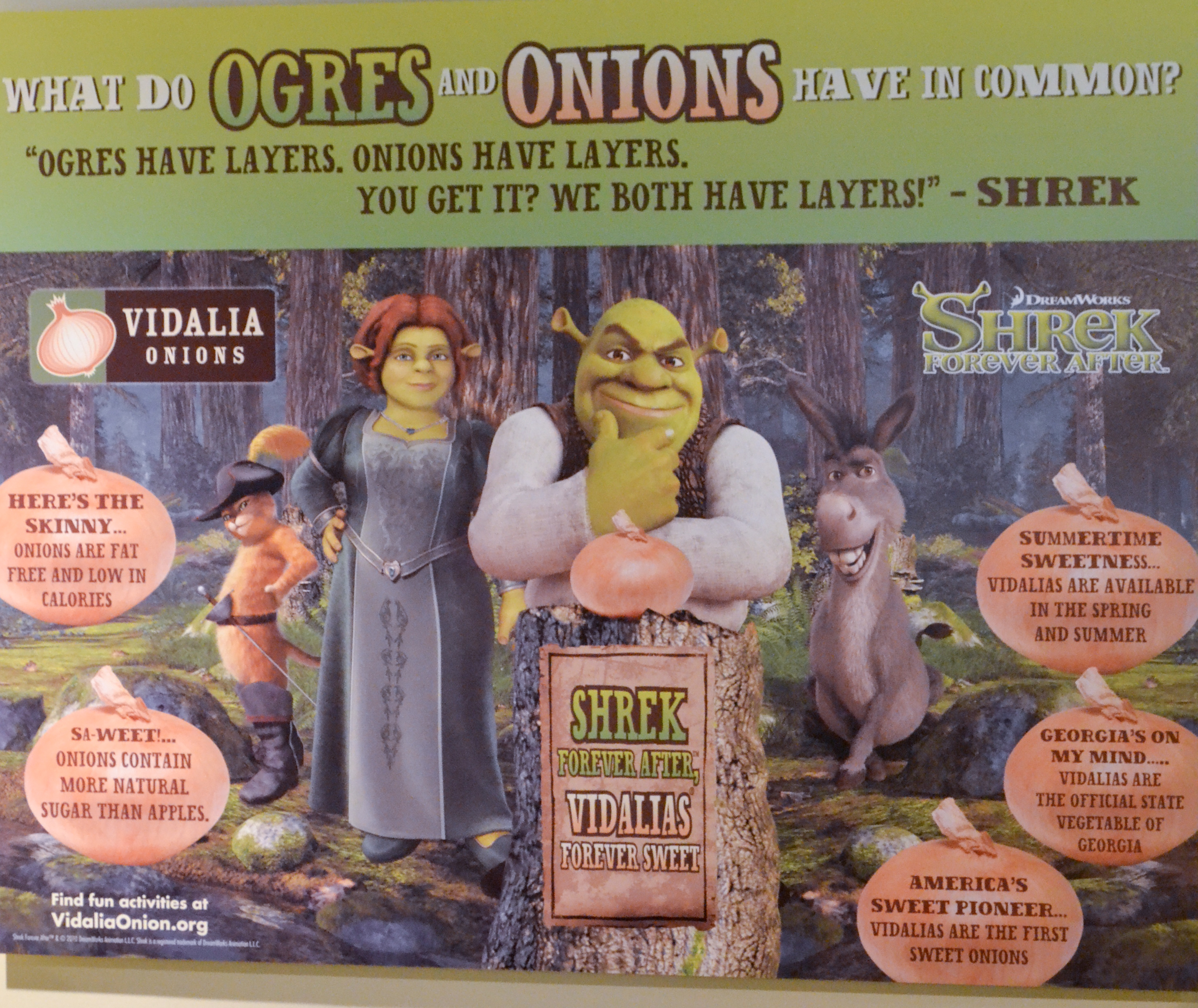 a day on the farm - Vidalia Onions | Mother Thyme
